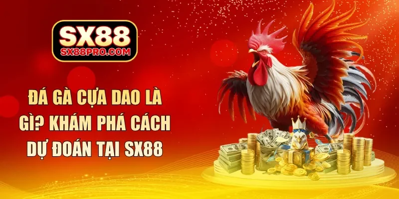 đá gà cựa dao