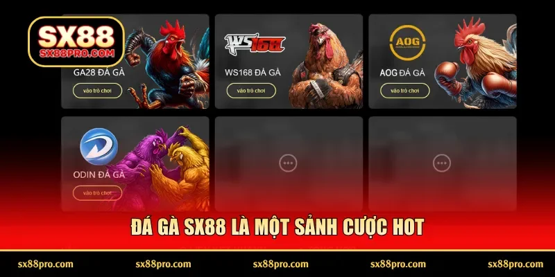 Đá gà SX88 là một sảnh cược hot