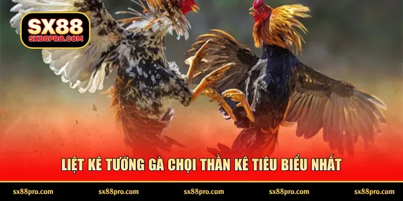 Liệt kê tướng gà chọi thần kê tiêu biểu nhất